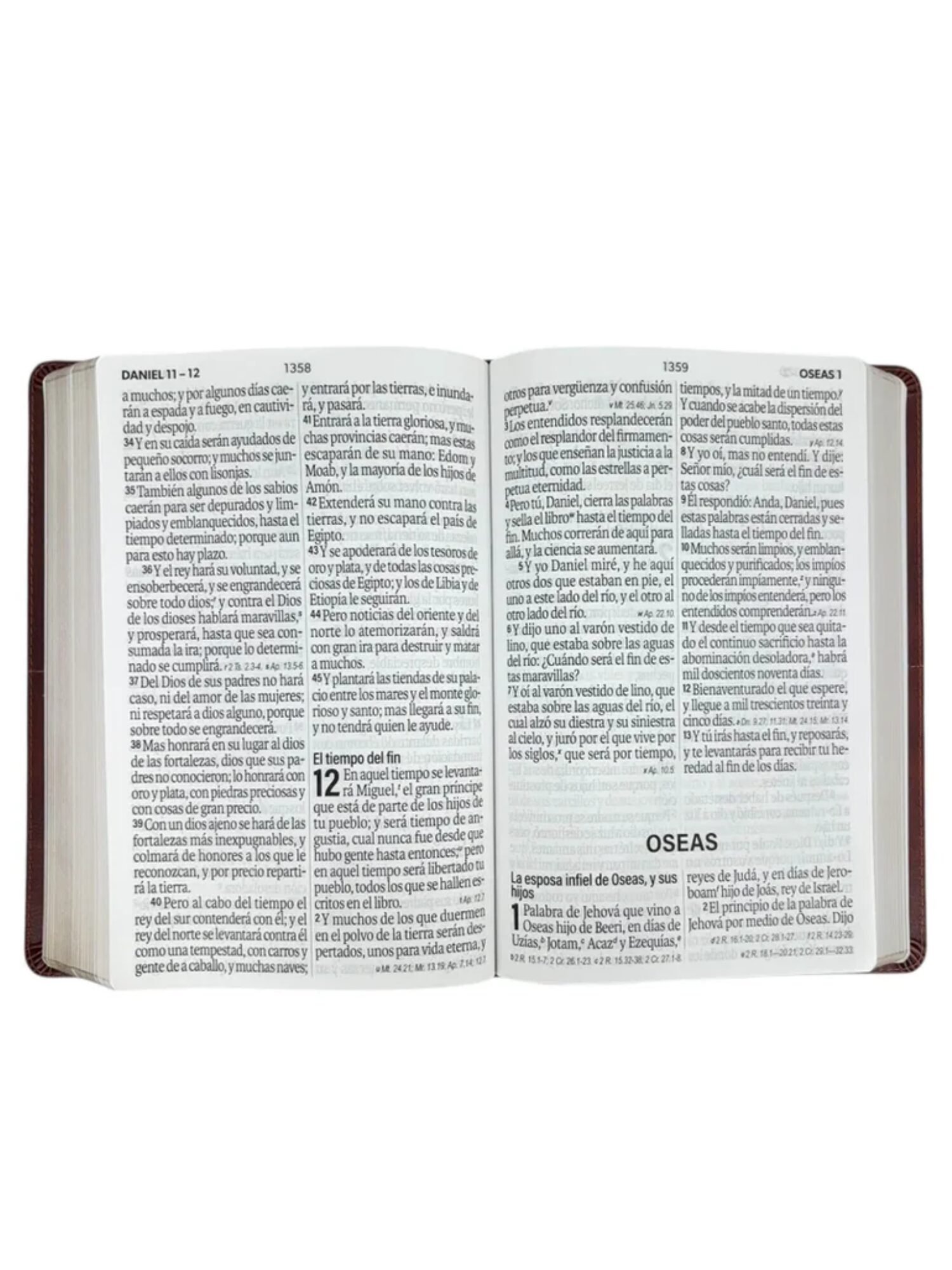 Biblia RVR1960 Super Gigante Café, Éfeso 2 Biblia RVR1960 Super Gigante Café, Éfeso - Image 2