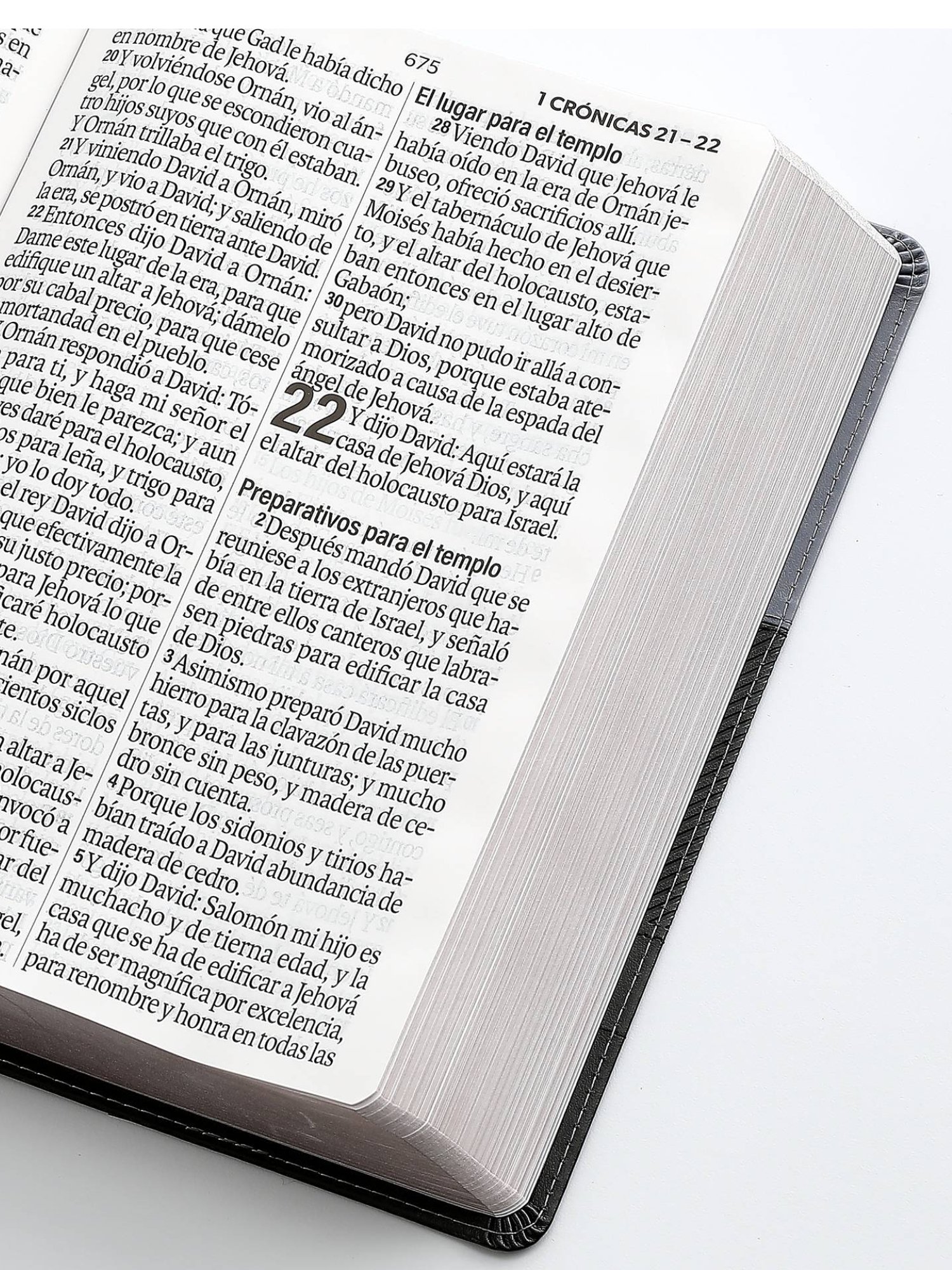 Biblia RVR1960 Super Gigante Negro, Éfeso 3 Biblia RVR1960 Super Gigante Negro, Éfeso - Image 3