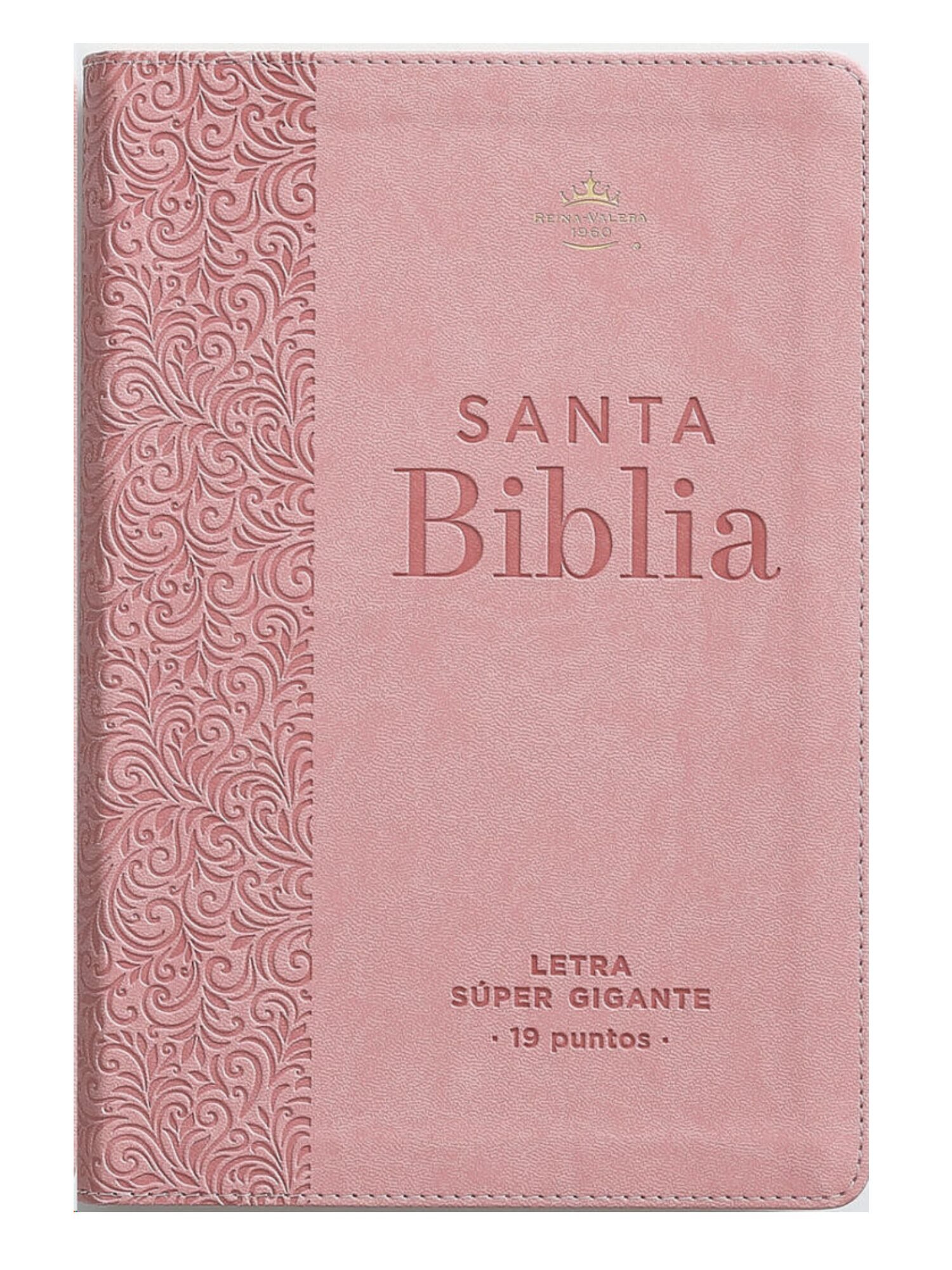 Biblia RVR1960 Super Gigante Rosa, Éfeso 1 Biblia RVR1960 Super Gigante Rosa, Éfeso