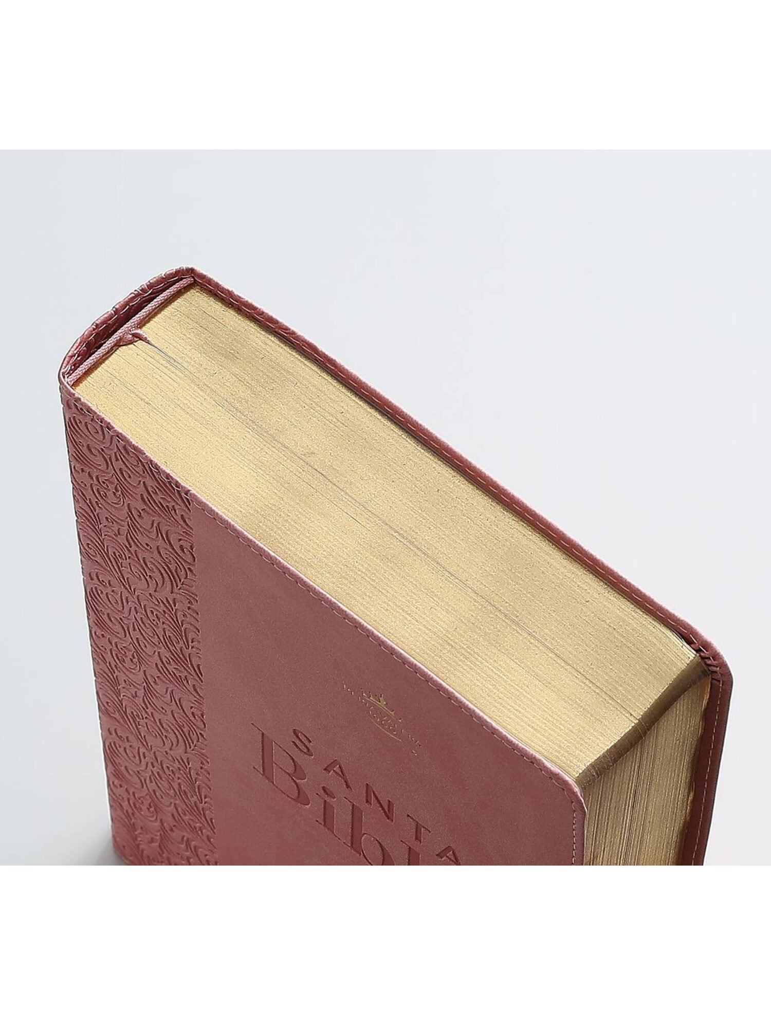 Biblia RVR1960 Super Gigante Rosa, Éfeso 2 Biblia RVR1960 Super Gigante Rosa, Éfeso - Image 2