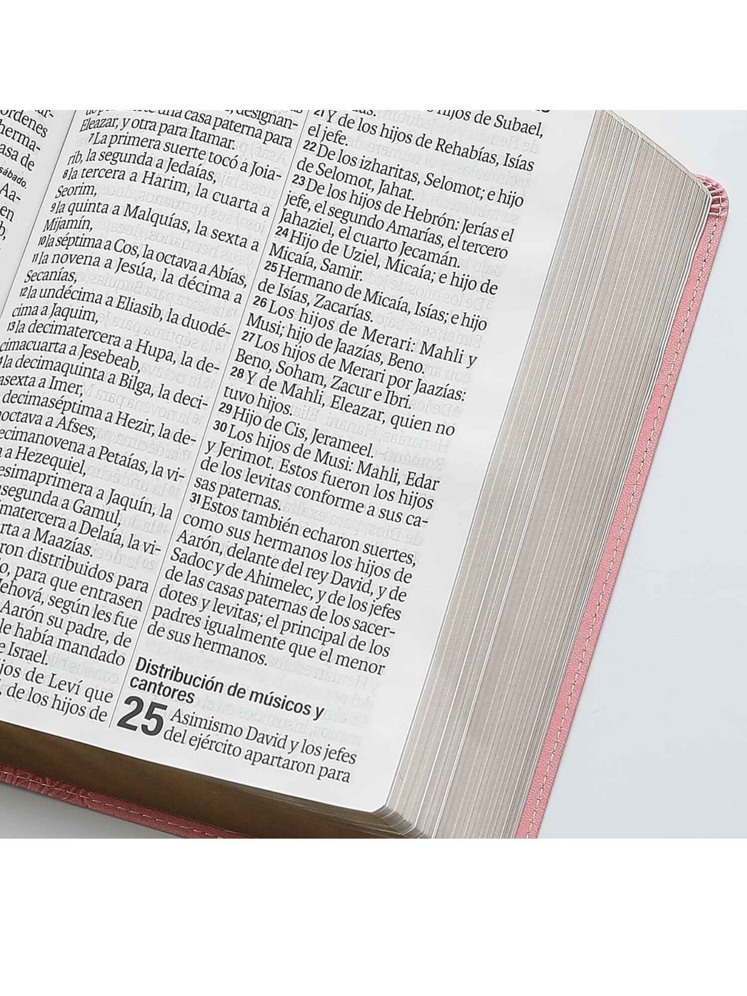 Biblia RVR1960 Super Gigante Rosa, Éfeso 3 Biblia RVR1960 Super Gigante Rosa, Éfeso - Image 3