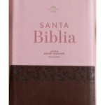 Biblia RVR6088czti LSGi/ 19pts Agora/ Rosa Cafe/ Cierre Ind.