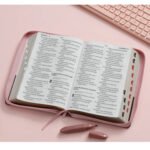 Biblia RVR6088czti LSGi/ 19pts Agora/ Rosa Cafe/ Cierre Ind. – imagen 2