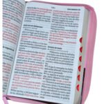 Biblia RVR6088czti LSGi/ 19pts Agora/ Rosa Cafe/ Cierre Ind. – imagen 4