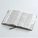 Biblia RVR6088 czti LSGi/ 19pts Sabiduria/ Cafe Casa/ Canto Pintado – imagen 2
