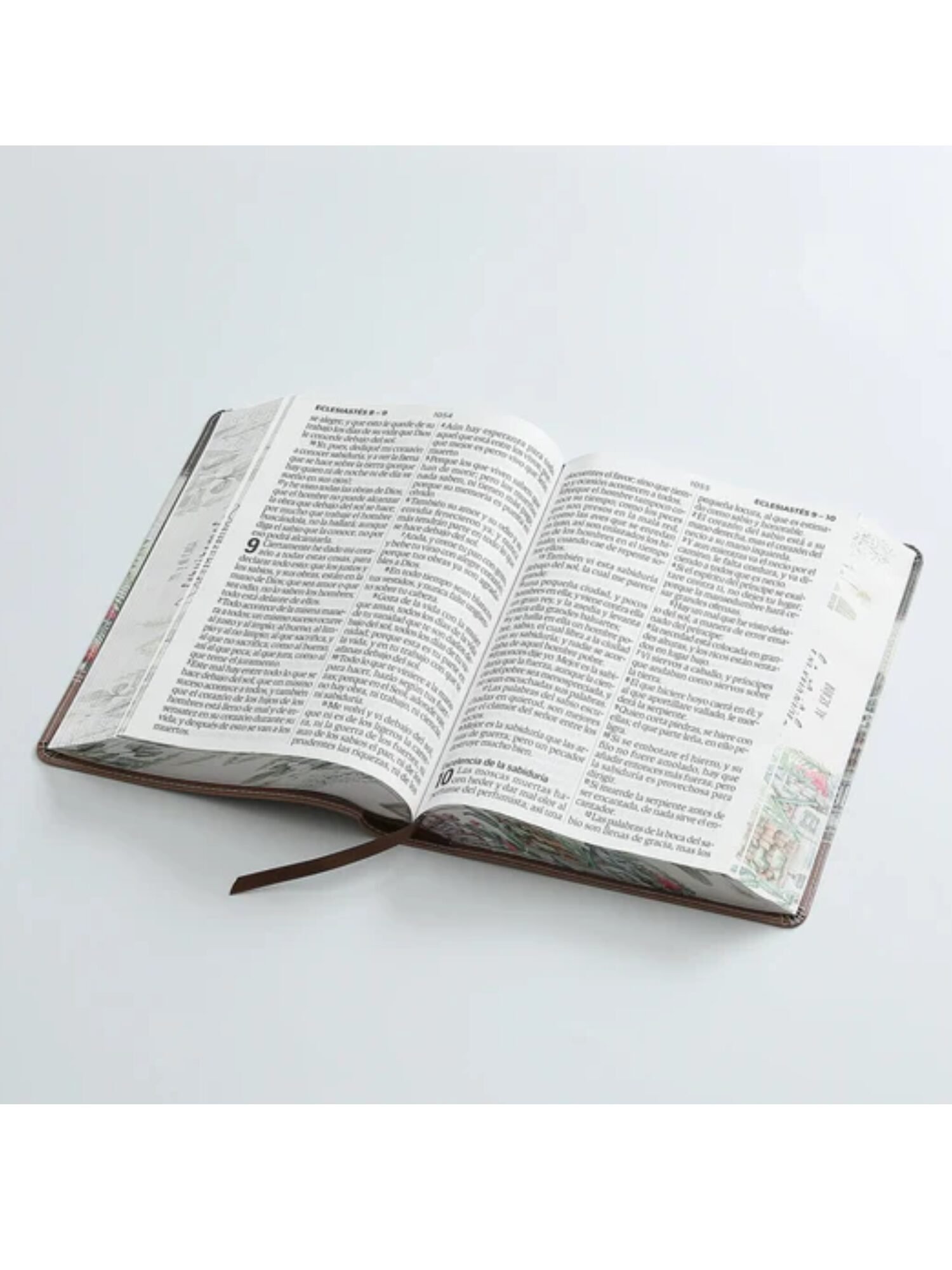 Biblia RVR6088 czti LSGi/ 19pts Sabiduria/ Cafe Casa/ Canto Pintado 2 Biblia RVR6088 czti LSGi/ 19pts Sabiduria/ Cafe Casa/ Canto Pintado - Image 2