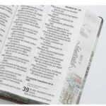 Biblia RVR6088 czti LSGi/ 19pts Sabiduria/ Cafe Casa/ Canto Pintado – imagen 4