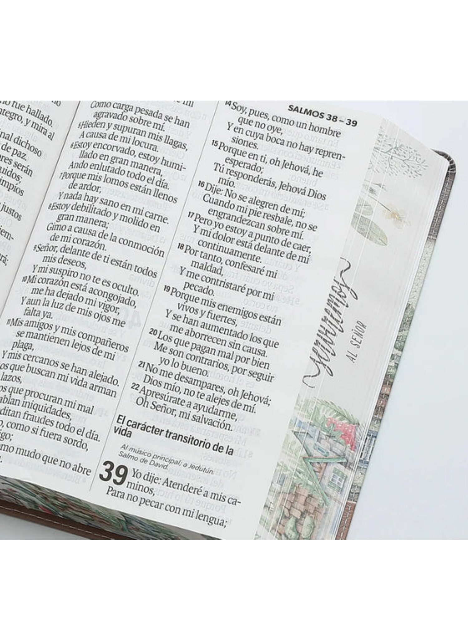Biblia RVR6088 czti LSGi/ 19pts Sabiduria/ Cafe Casa/ Canto Pintado 4 Biblia RVR6088 czti LSGi/ 19pts Sabiduria/ Cafe Casa/ Canto Pintado - Image 4