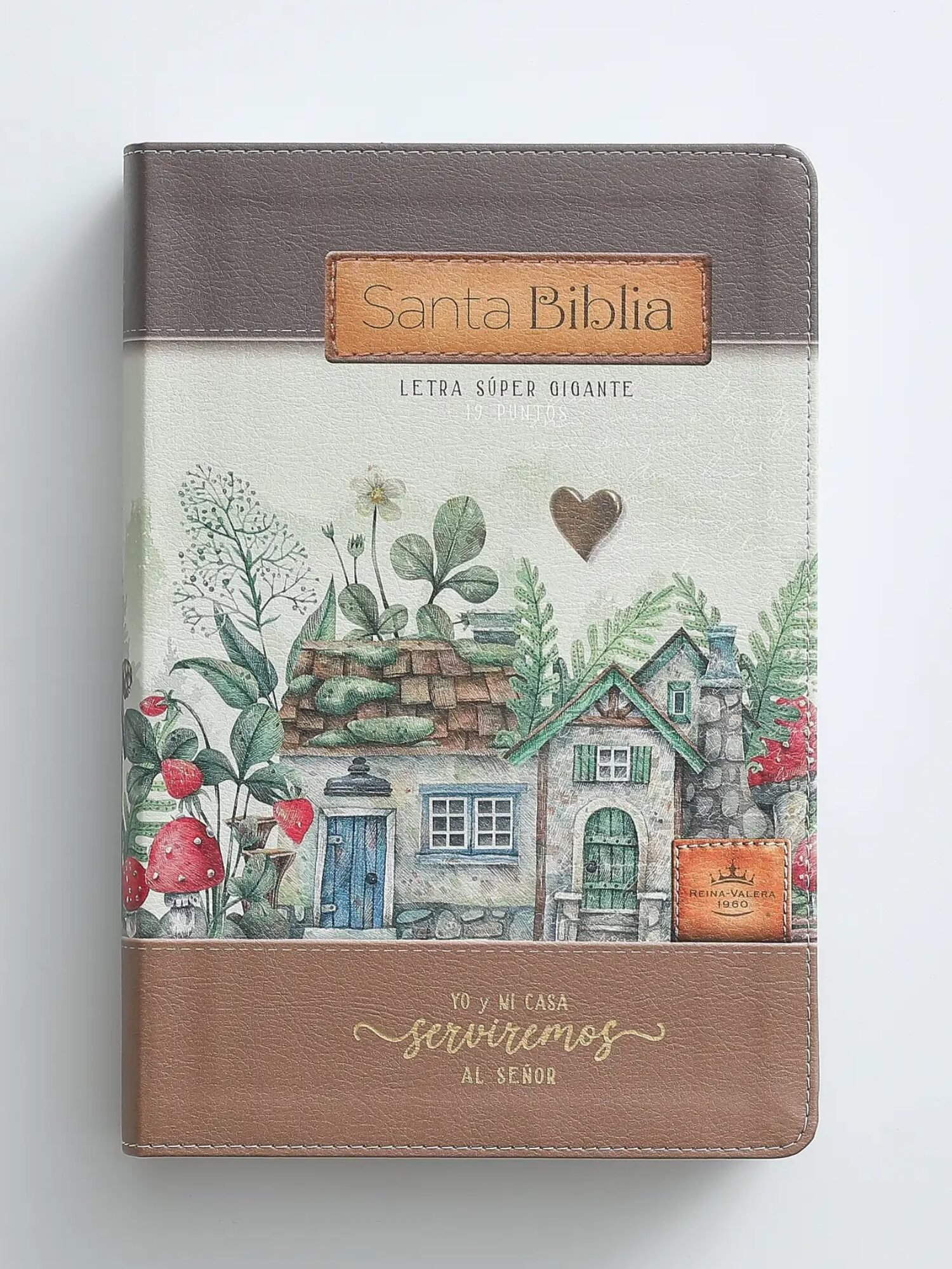 Biblia RVR6088 czti LSGi/ 19pts Sabiduria/ Cafe Casa/ Canto Pintado 1 Biblia RVR1960 Super Gigante Café, Yo y Mi Casa