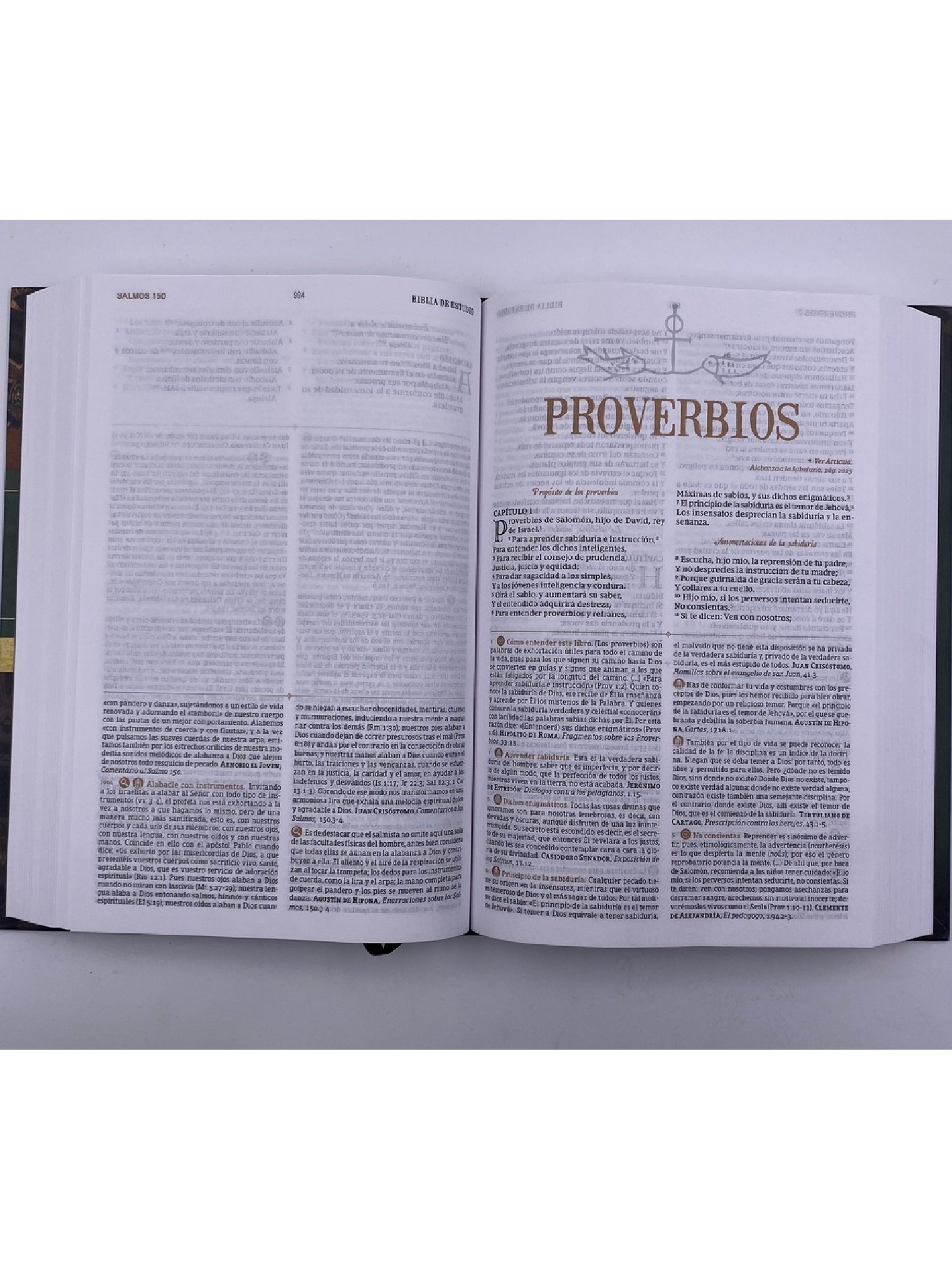Biblia Estudio Patristica/ la sabiduria 4 Biblia Estudio Patristica/ la sabiduria - Image 4