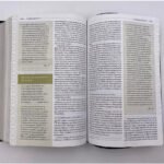 Biblia Temática de Estudio RVR 1960 – imagen 3