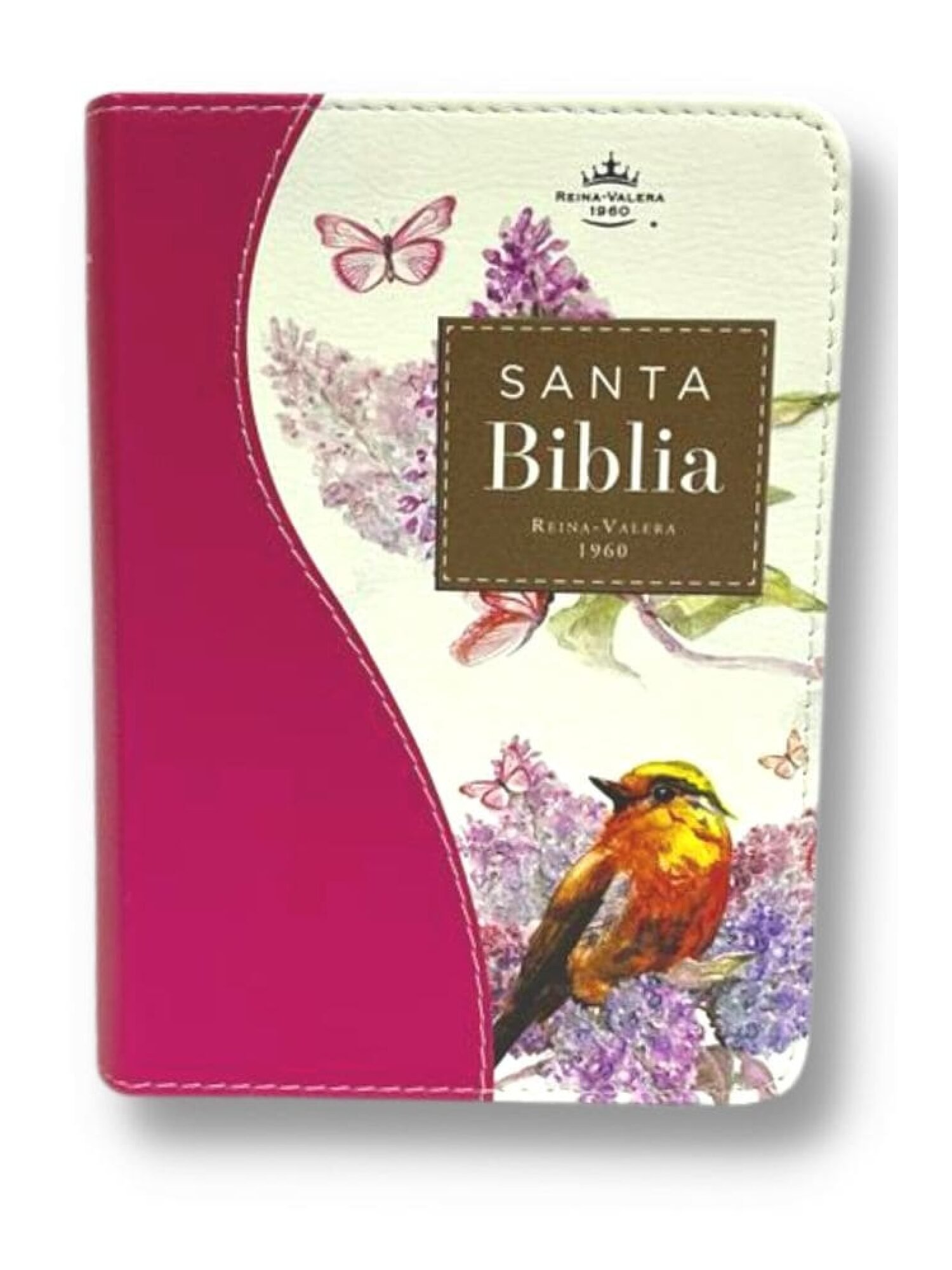 Biblia RVR60 Renovación Fucsia 1 Biblia RVR60 Renovación Fucsia