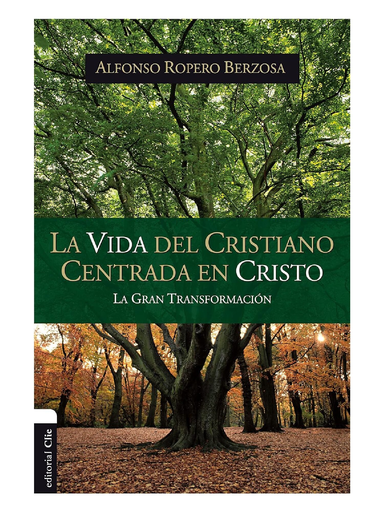 Vida del Cristiano Centrada en Cristo 1 Vida del Cristiano Centrada en Cristo