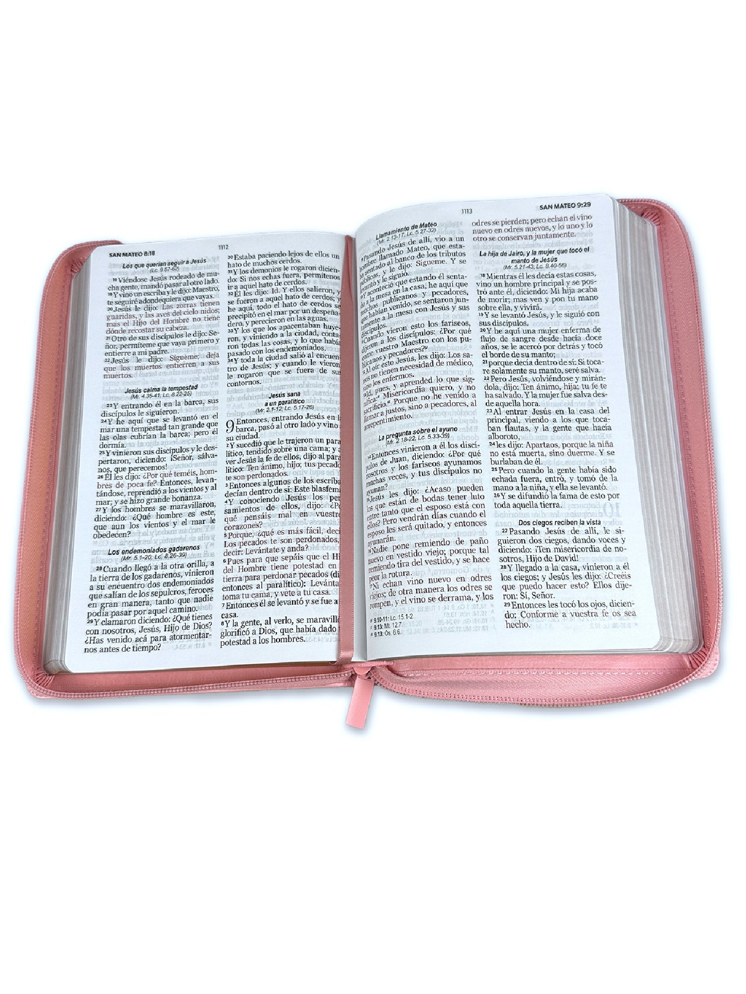 Biblia RVR60 065 LG Clásica Rosa 2 Biblia RVR60 065 LG Clásica Rosa - Image 2