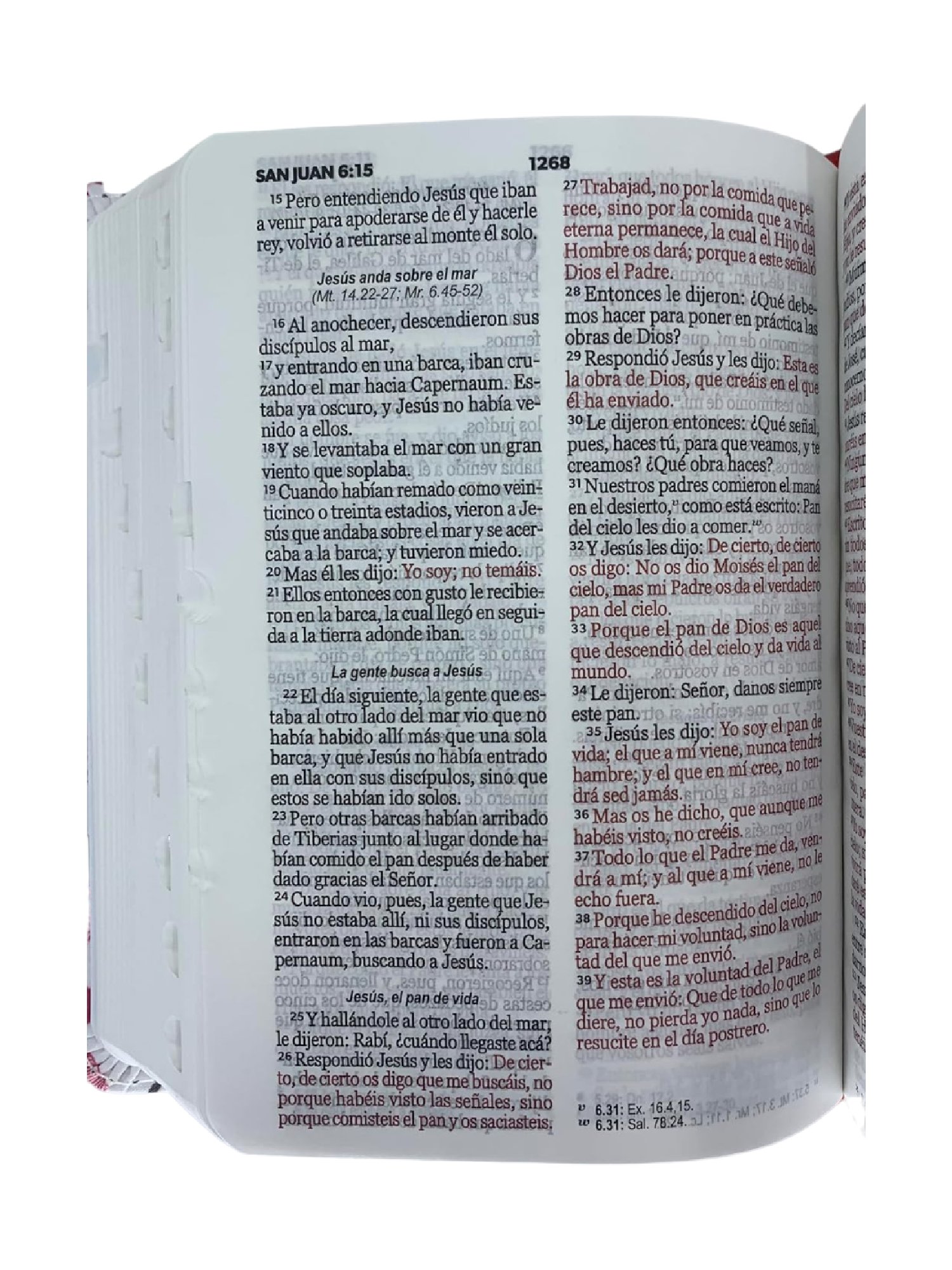 Biblia Para Jovenes Bolsillo RVR60 3 Biblia Para Jovenes Bolsillo RVR60 - Image 3