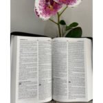 Biblia Reina Valera 1960 King James Forrada – imagen 3