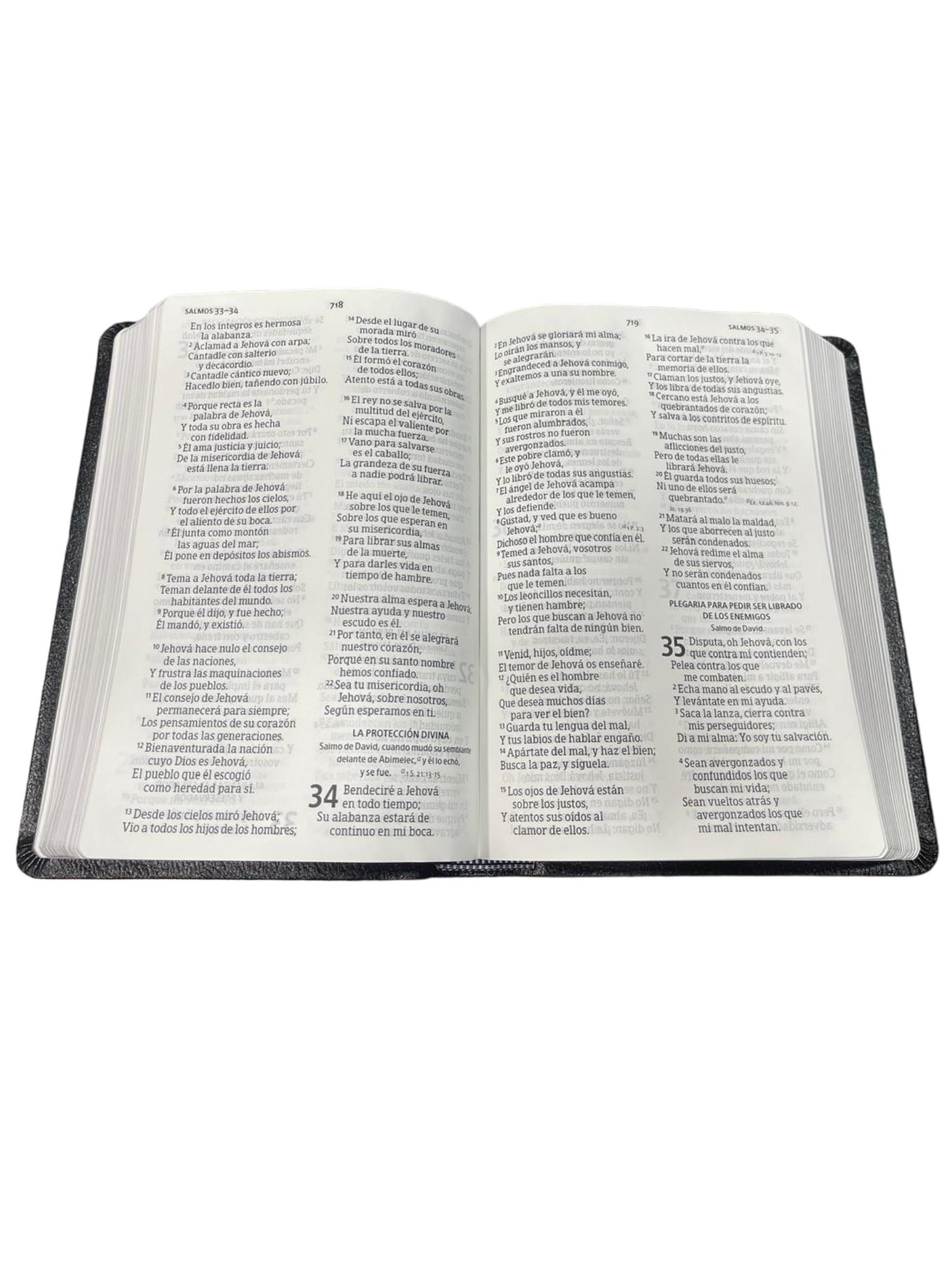Biblia RVR 1960 Letra Grande Tamaño Manual Negro 2 Biblia RVR 1960 Letra Grande Tamaño Manual Negro - Image 2