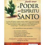 Dones Y Ministerios Del Espiritu Santo – imagen 2