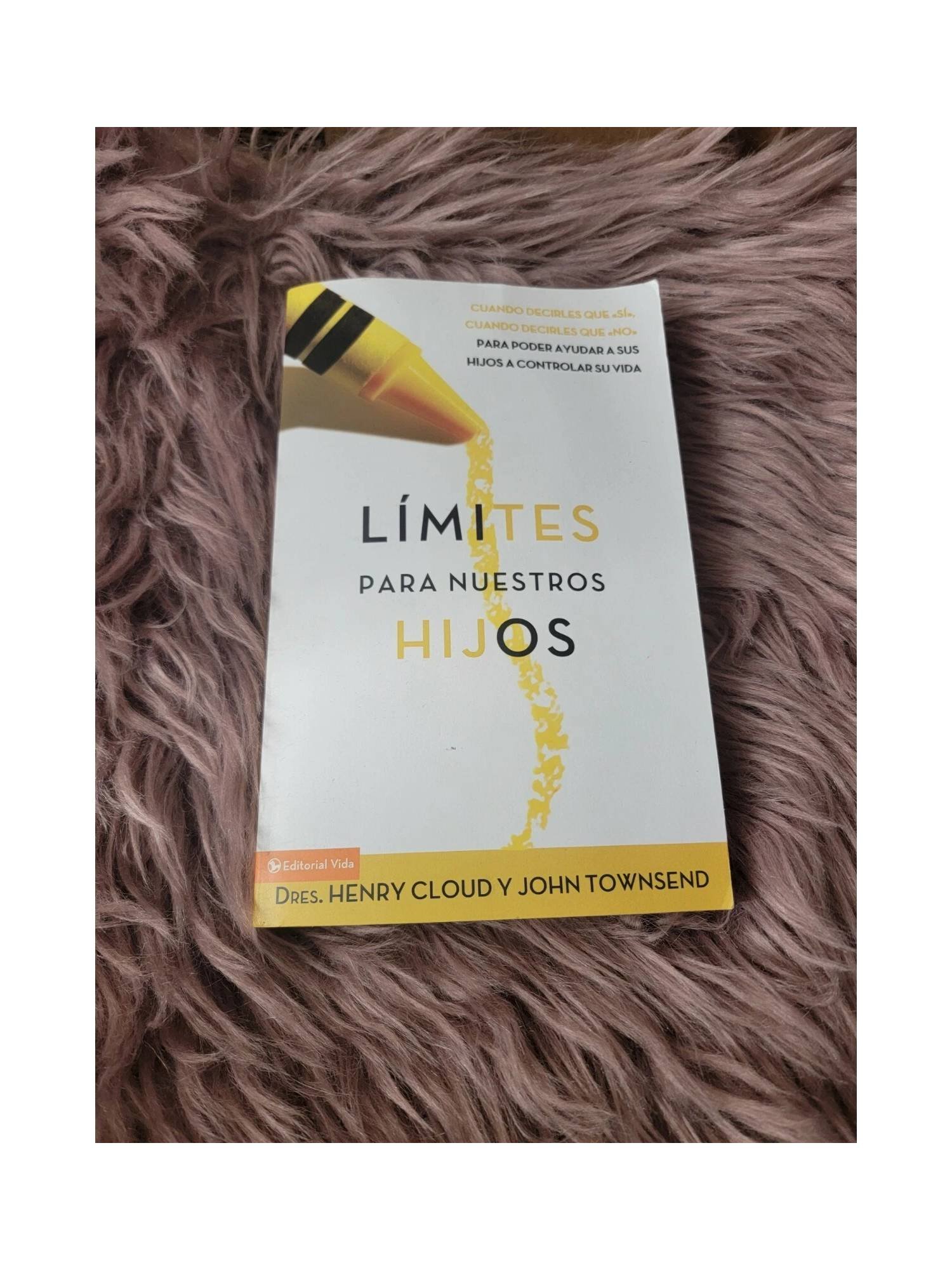 Límites para Nuestros Hijos 3 Límites para Nuestros Hijos - Image 3