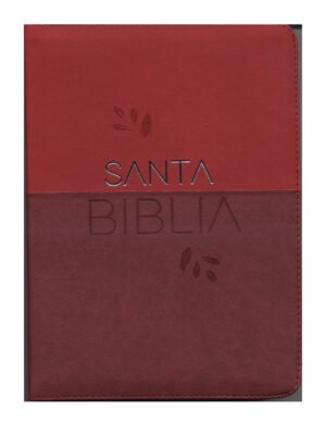 biblia dos colores