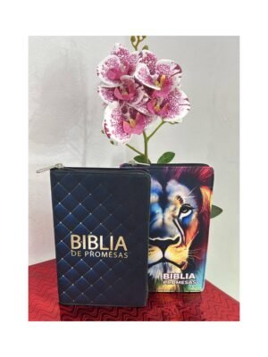 Biblia de Promesas Letra Grande Reina Valera 1960 en Tela
