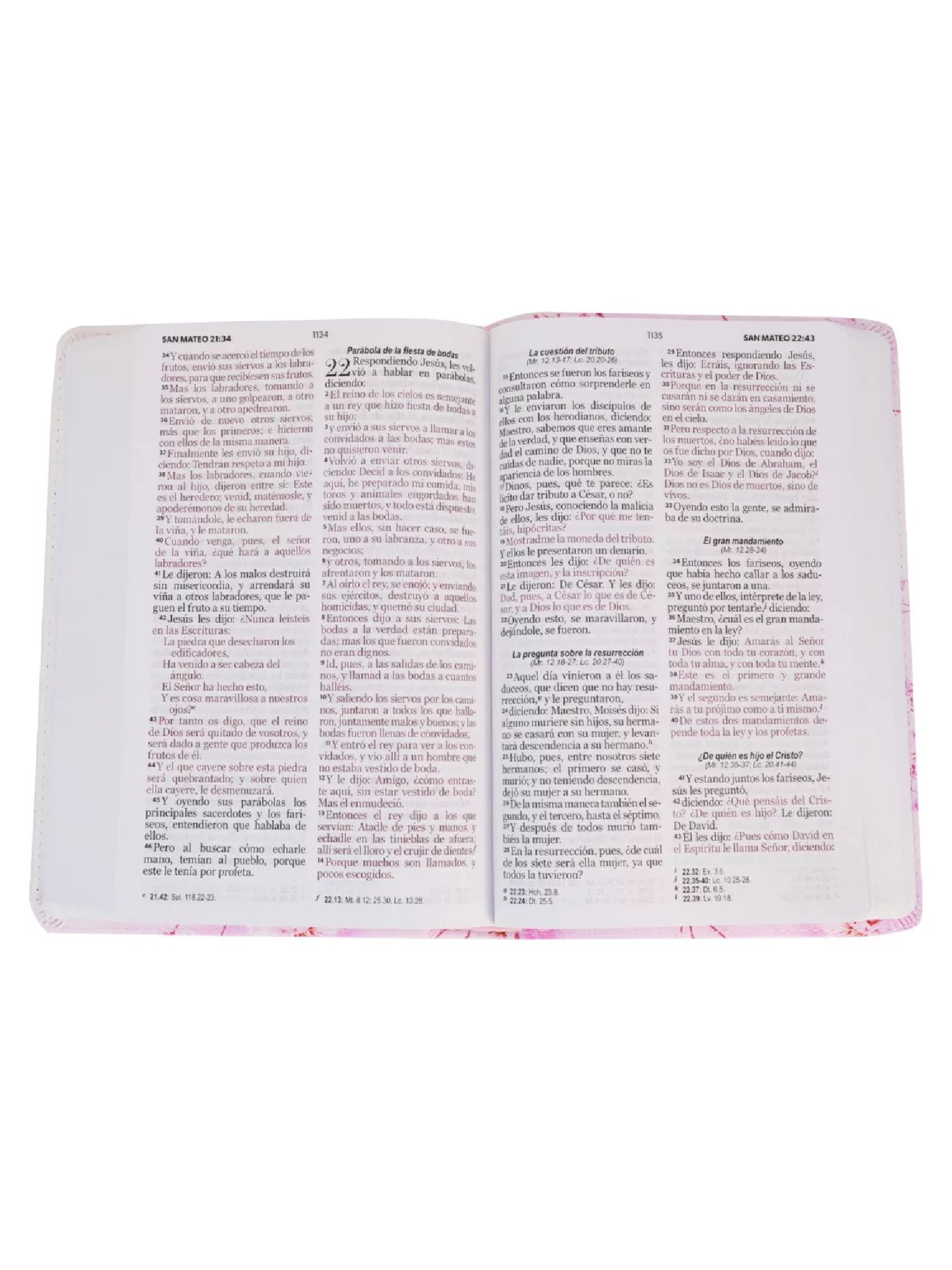 RVR60 Biblia Letra Grande Vinilo/Flores/Rosa 3 RVR60 Biblia Letra Grande Vinilo/Flores/Rosa - Image 3