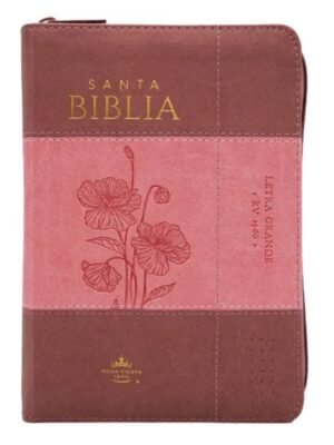 Biblia RV6035czti PJR i/ Cierre Indice / Coral Rosa