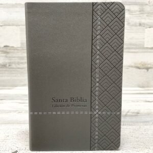 Biblia RVR60 Manual Imitacion Piel Gris Indice