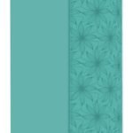 Biblia RVR 1960 Iman Aqua