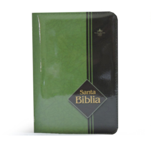 Santa Biblia Reina Valera Acolchada Verde