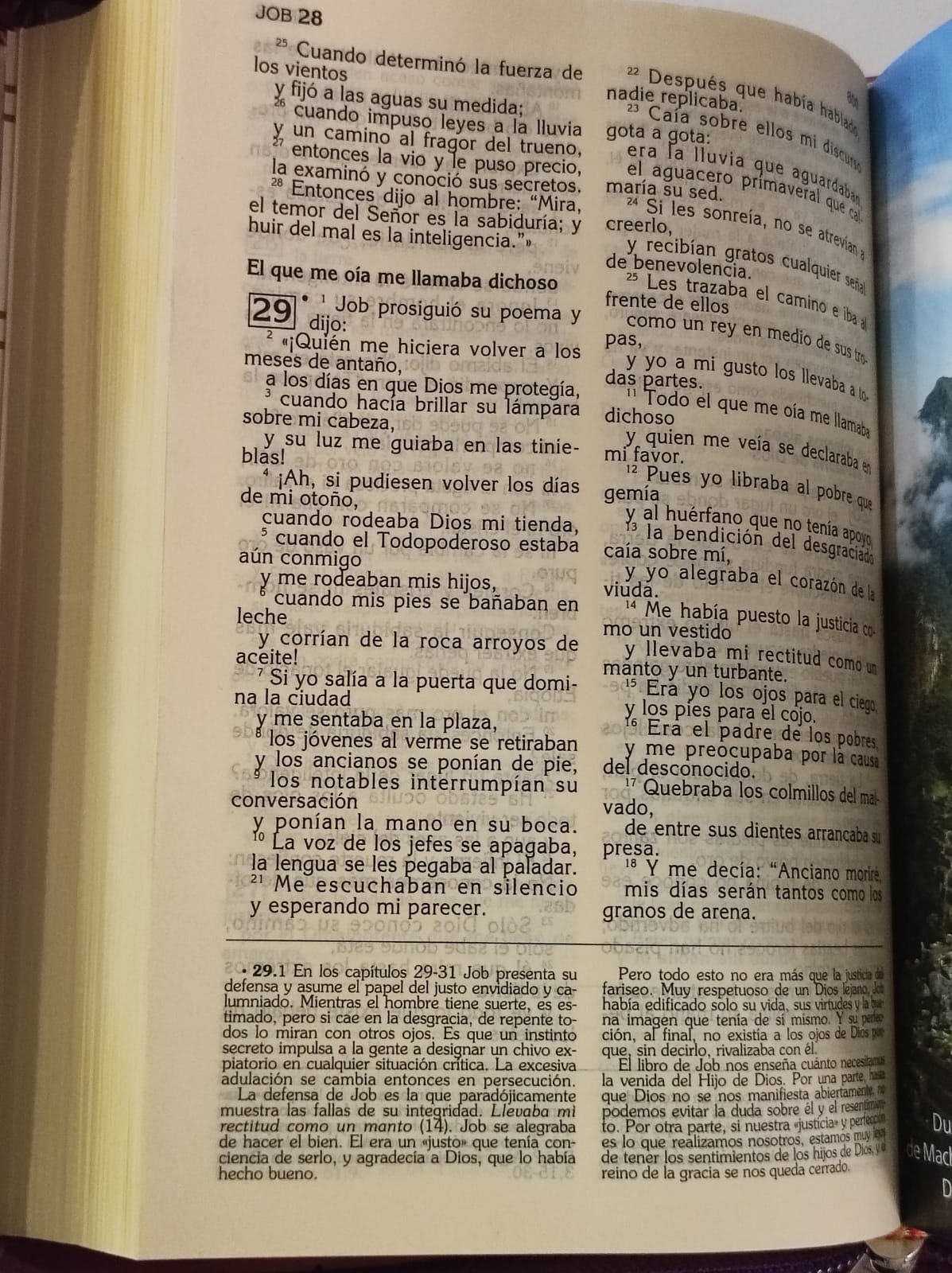Biblia Latinoamericana forrada 2 Biblia Latinoamericana forrada - Image 2
