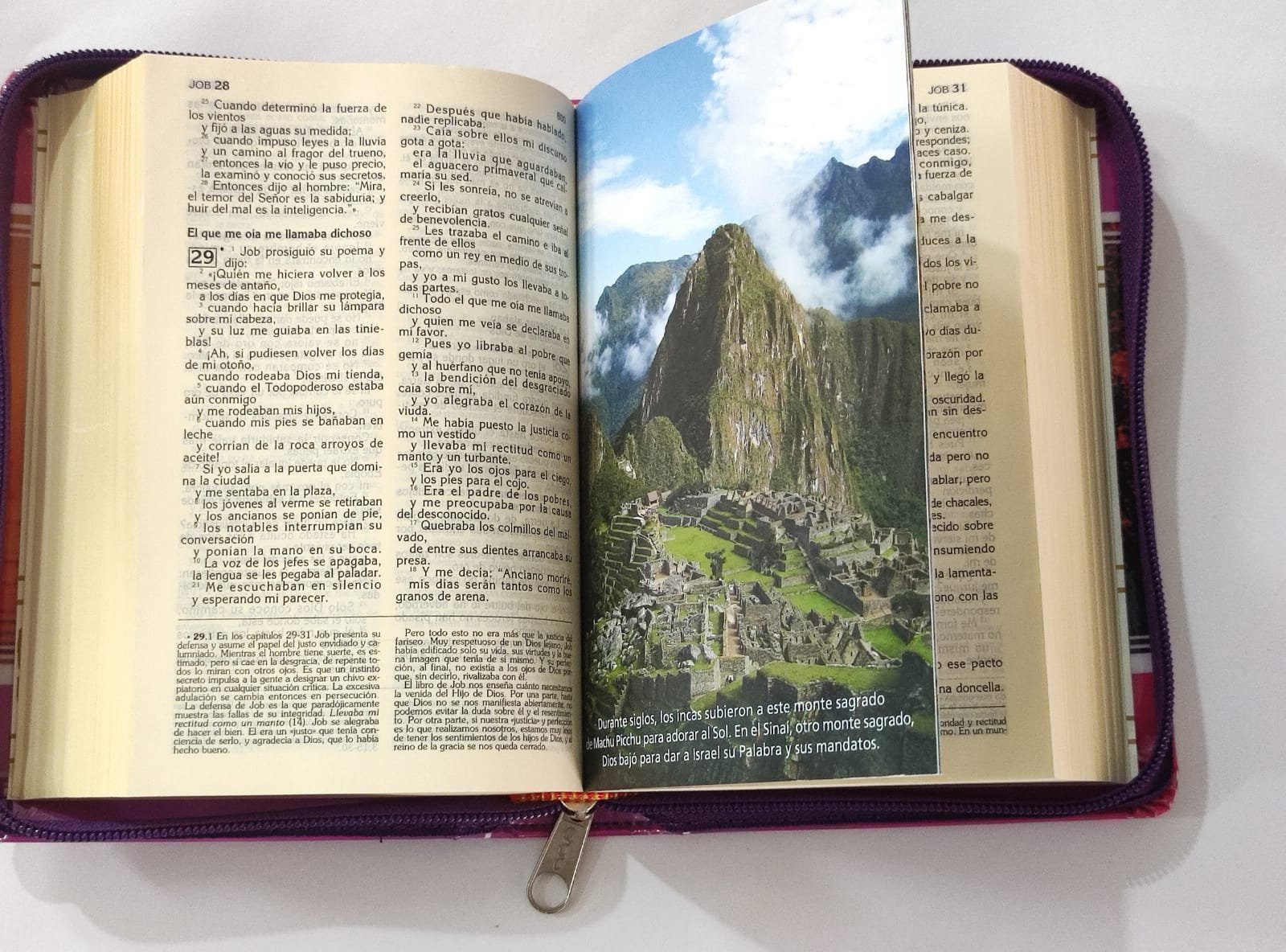 Biblia Latinoamericana forrada 3 Biblia Latinoamericana forrada - Image 3