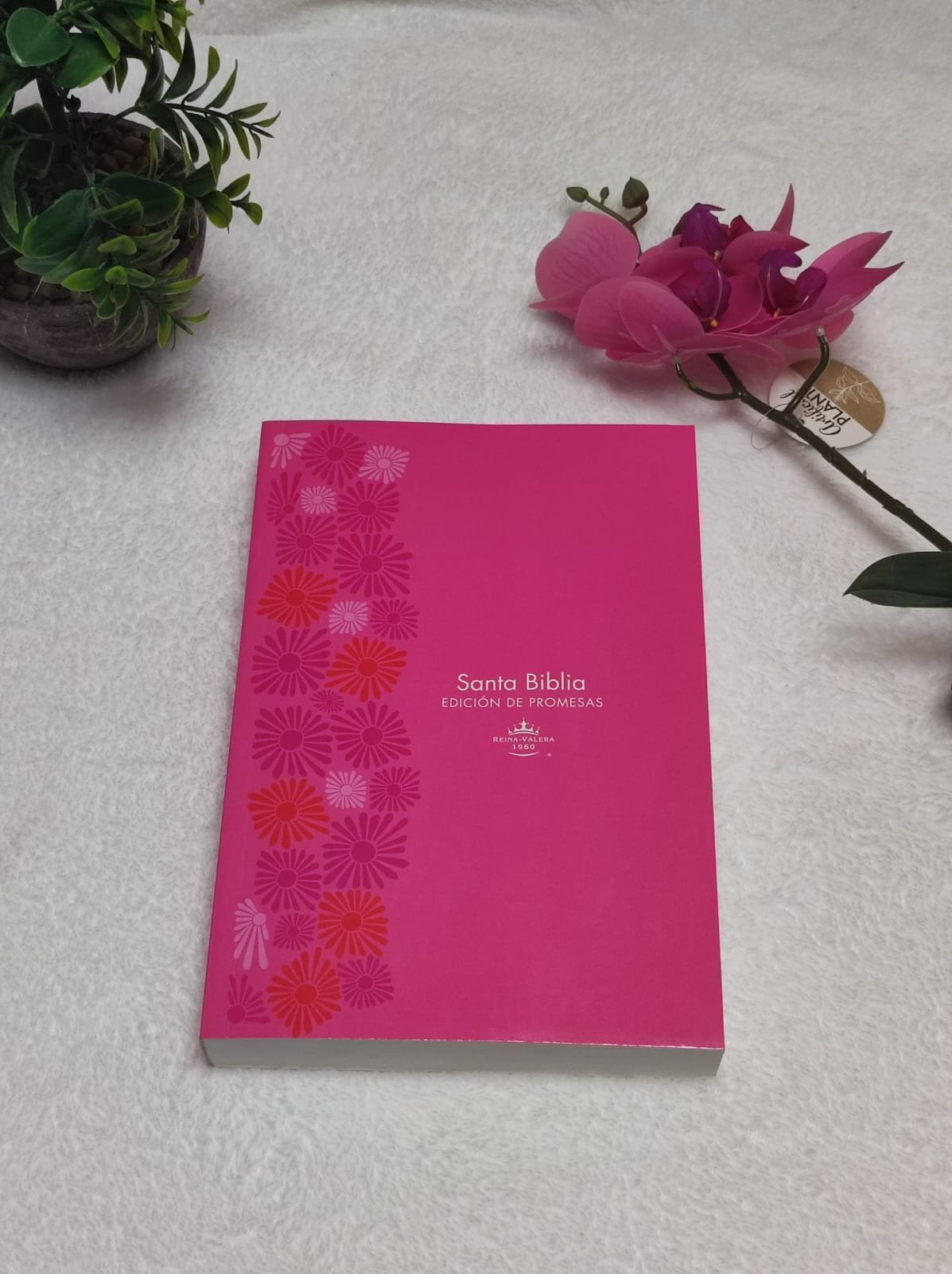 Biblia de Promesas Letra Gigante Rosada 1 Biblia de Promesas Letra Gigante Rosada