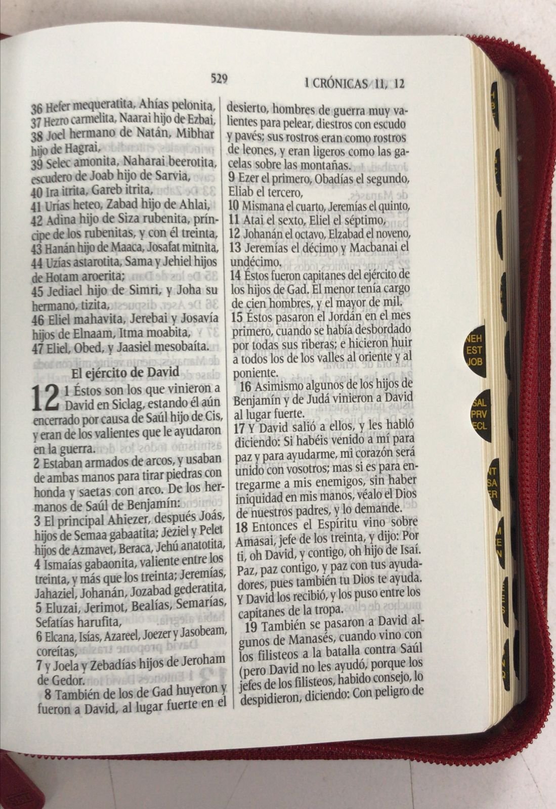 Biblia RVR 1960 con cierre - índice pequeño, alcolchada rojiza 4 Biblia RVR 1960 con cierre - índice pequeño, alcolchada rojiza - Image 4