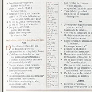 NBLA BIBLIA ESTUD GRACIA Y VER 3 NBLA BIBLIA ESTUD GRACIA Y VER - Image 3