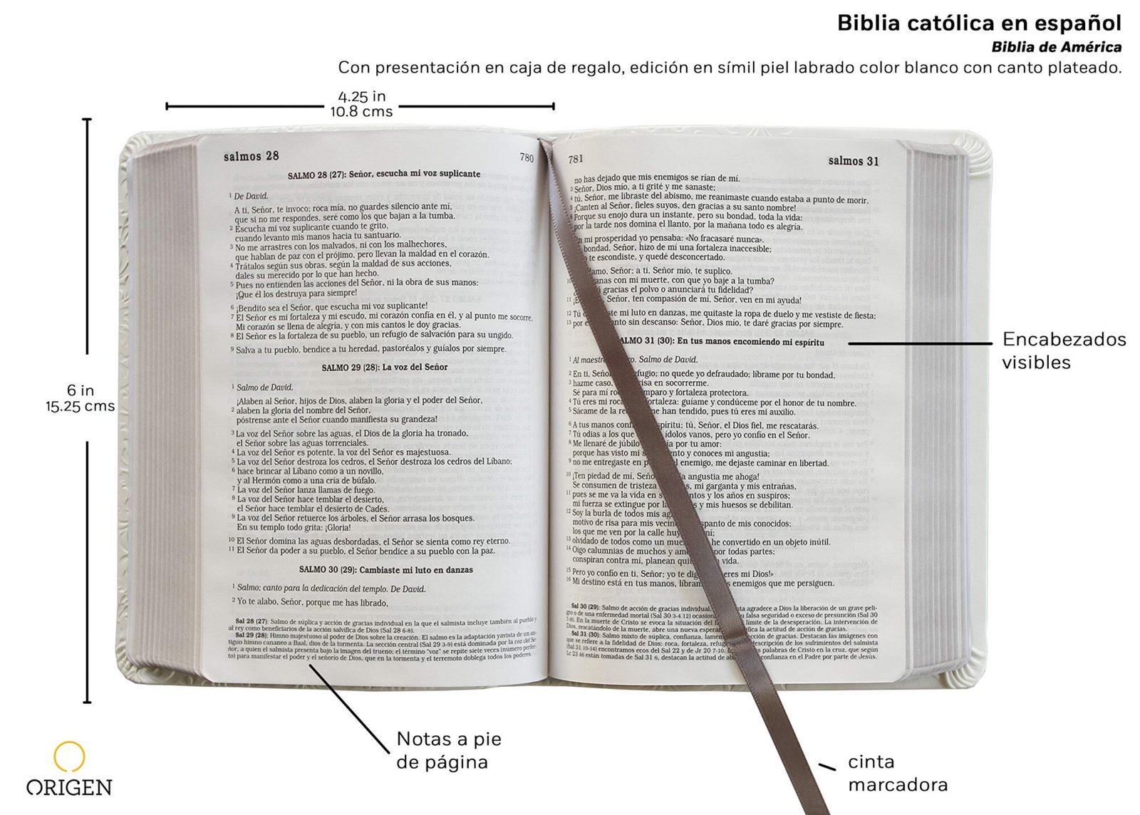 Biblia Católica Piel Blanca 2 Biblia Católica Piel Blanca - Image 2