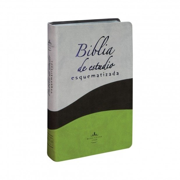Biblia de Estudio Esquematizada RVR1960 1 Biblia de Estudio Esquematizada RVR1960
