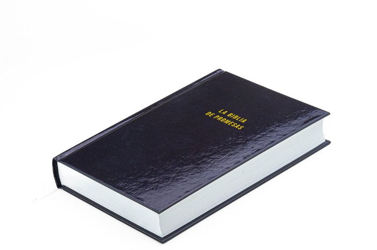 Biblia De Promesas NVI/Tapa dura Negra 2 Biblia De Promesas NVI/Tapa dura Negra - Image 2