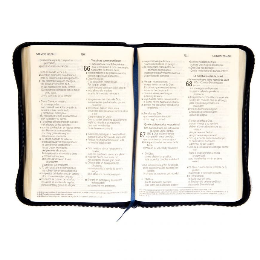 DHH Biblia 055 azul - Image 3