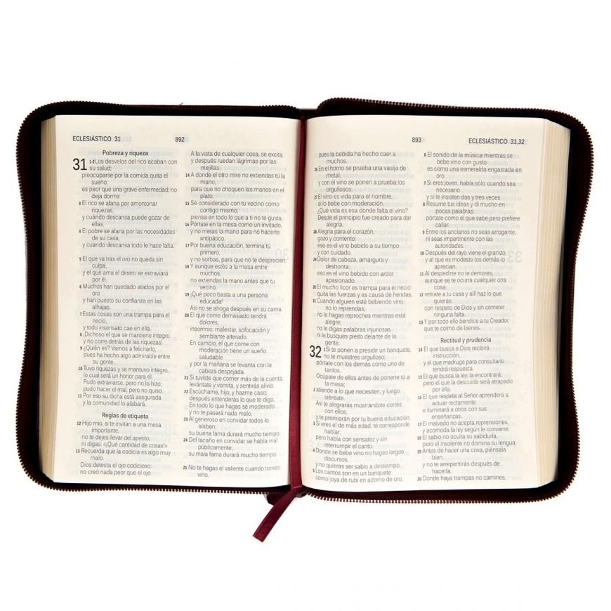 Biblia DHH Letra Grande Vinotinto 055 3 Biblia DHH Letra Grande Vinotinto 055 - Image 3