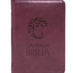 DHH Biblia Vinotinto con Cierre Canto Dorado SBC