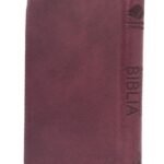 DHH Biblia Vinotinto con Cierre Canto Dorado SBC – imagen 4