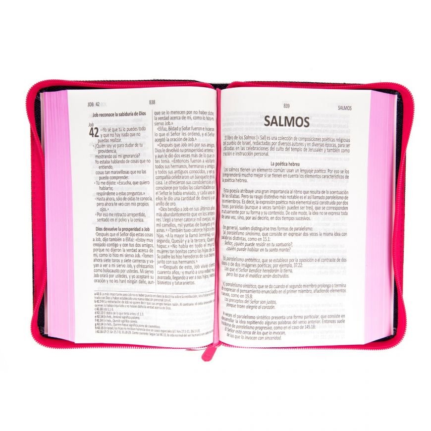 Biblia DHH Letra Grande Jean Fucsia 3 Biblia DHH Letra Grande Jean Fucsia - Image 3