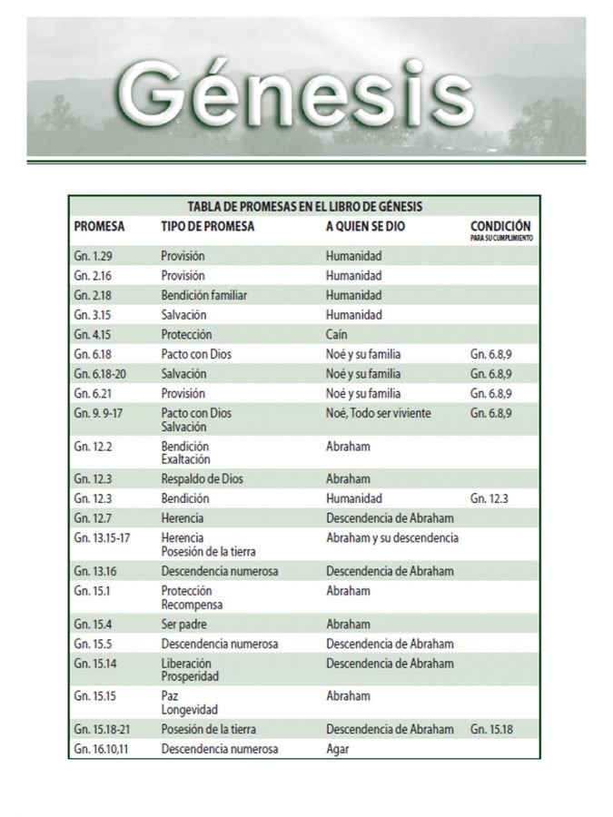 Biblia de Estudio Promesas - Reina Valera 4 Biblia de Estudio Promesas - Reina Valera - Image 4
