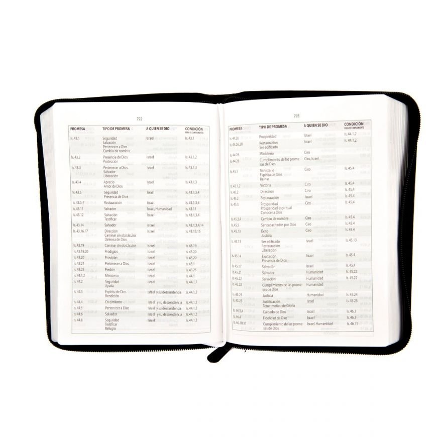 Biblia de Estudio Promesas - Reina Valera 3 Biblia de Estudio Promesas - Reina Valera - Image 3