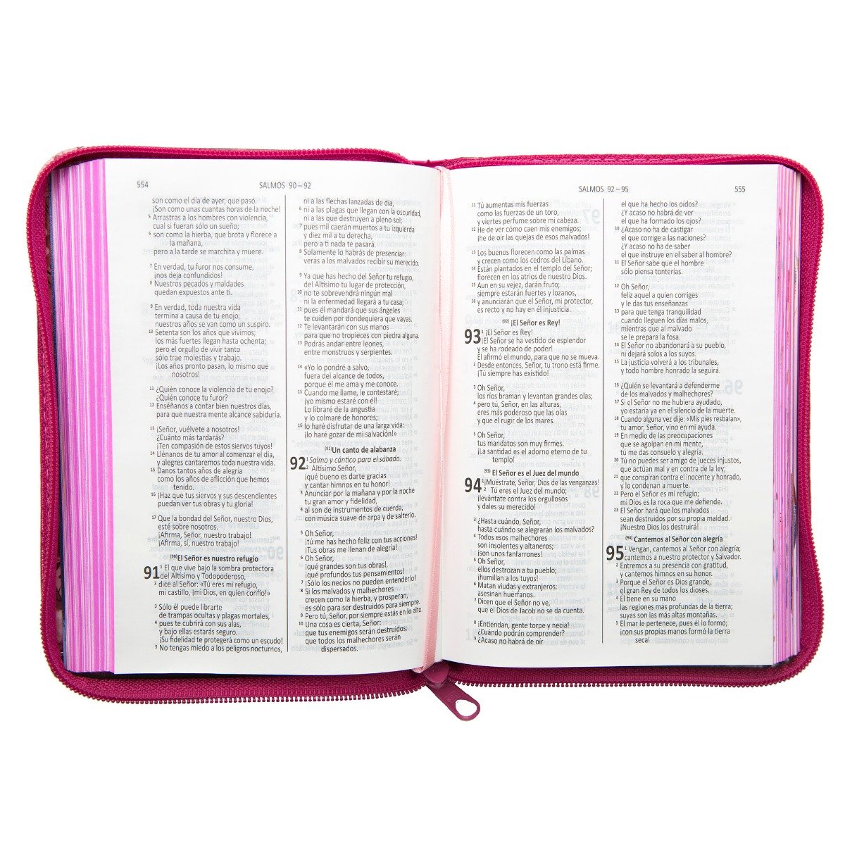 DHH Biblia Ilustrada Valientes con Jesús Rosada SBC - Image 3