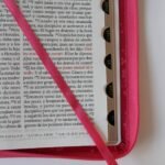Biblia RVR 1960 Fucsia Crem In – imagen 5