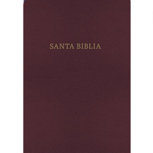Santa Biblia Bilingüe KJV  Rojiza