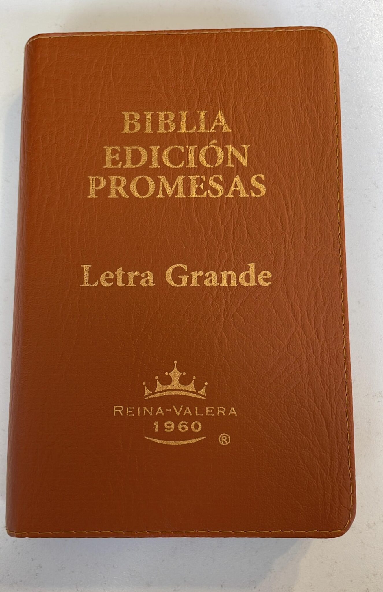 Biblia Reina Valera 1960 Letra Grande con Promesas 7 Biblia Reina Valera 1960 Letra Grande con Promesas - Image 7