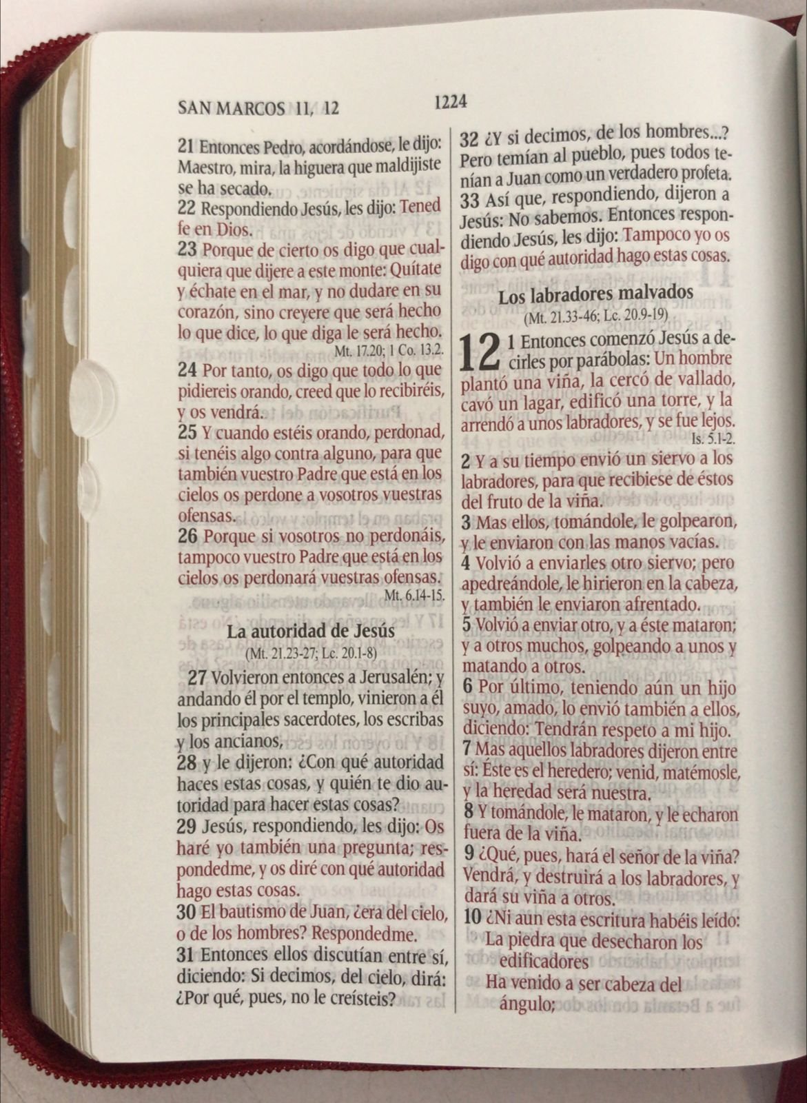 Biblia RVR 1960 con cierre - índice pequeño, alcolchada rojiza 3 Biblia RVR 1960 con cierre - índice pequeño, alcolchada rojiza - Image 3